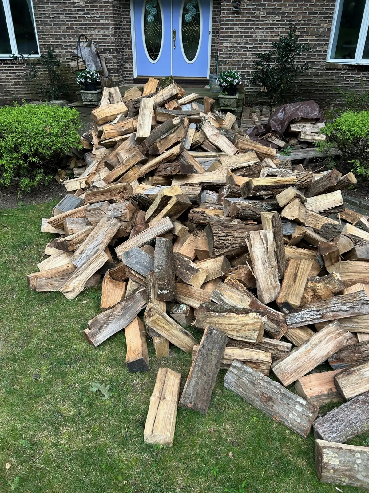 A full cord of split seasoned hardwood dumped on a front lawn