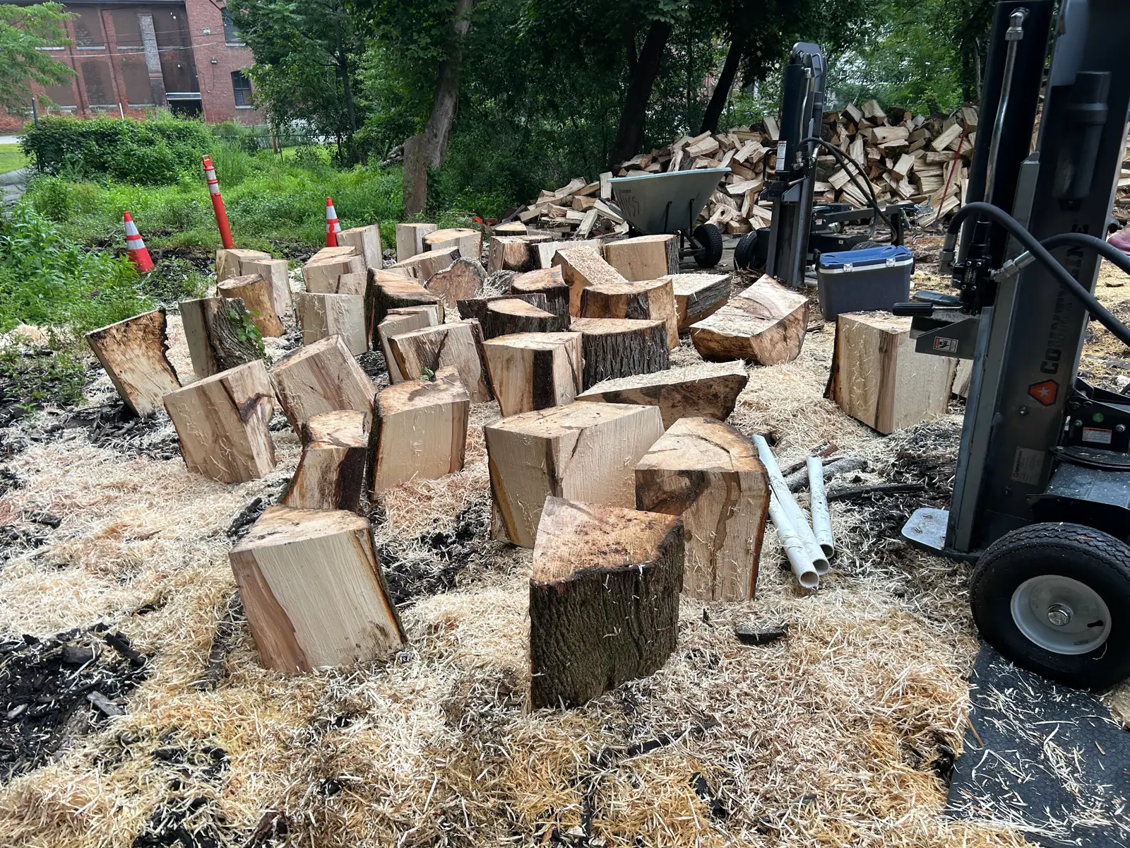 Rounds lined up beside the hydraulic log splitter